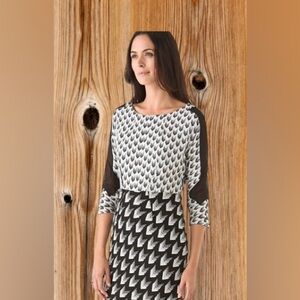 Rag & Bone Gayatri arrow Print dress SALE marked down  size Large